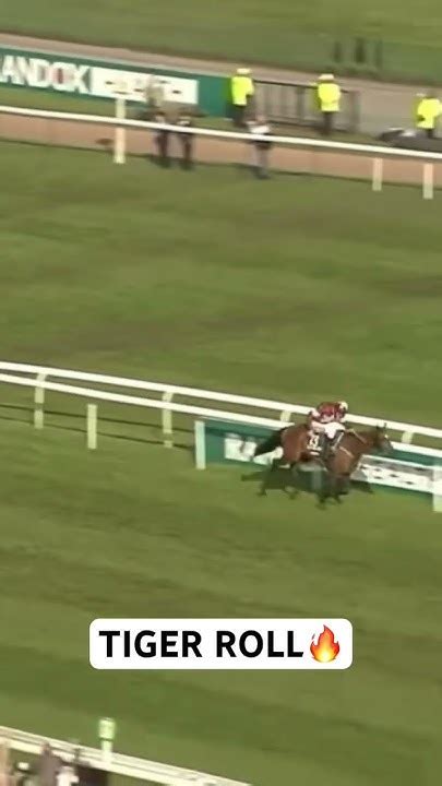 Tiger Roll Wins the 2018 Grand National.